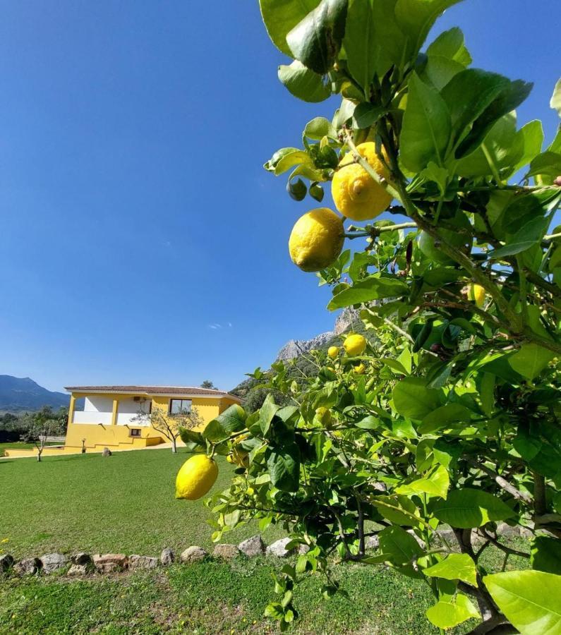 Indipendente Con Piscina Uso Esclusivo Internet Illimitato Villa Siniscola Dış mekan fotoğraf